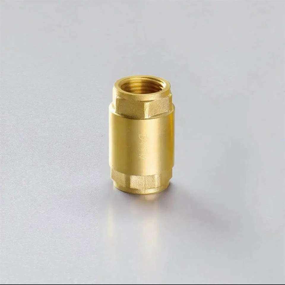 Brass Vertical Check Valve best